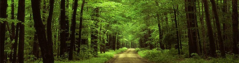 soluciones medioambientales